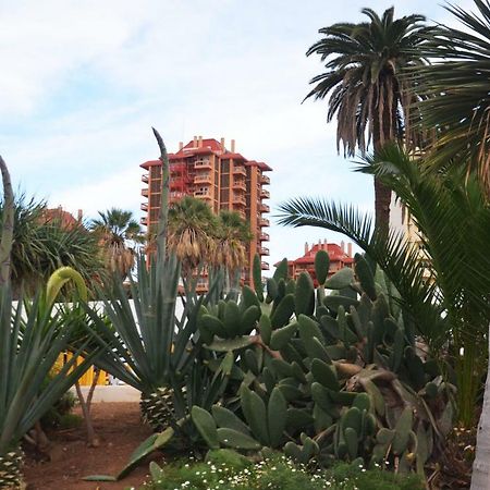 Sunshine Studio Puerto de la Cruz  Eksteriør bilde