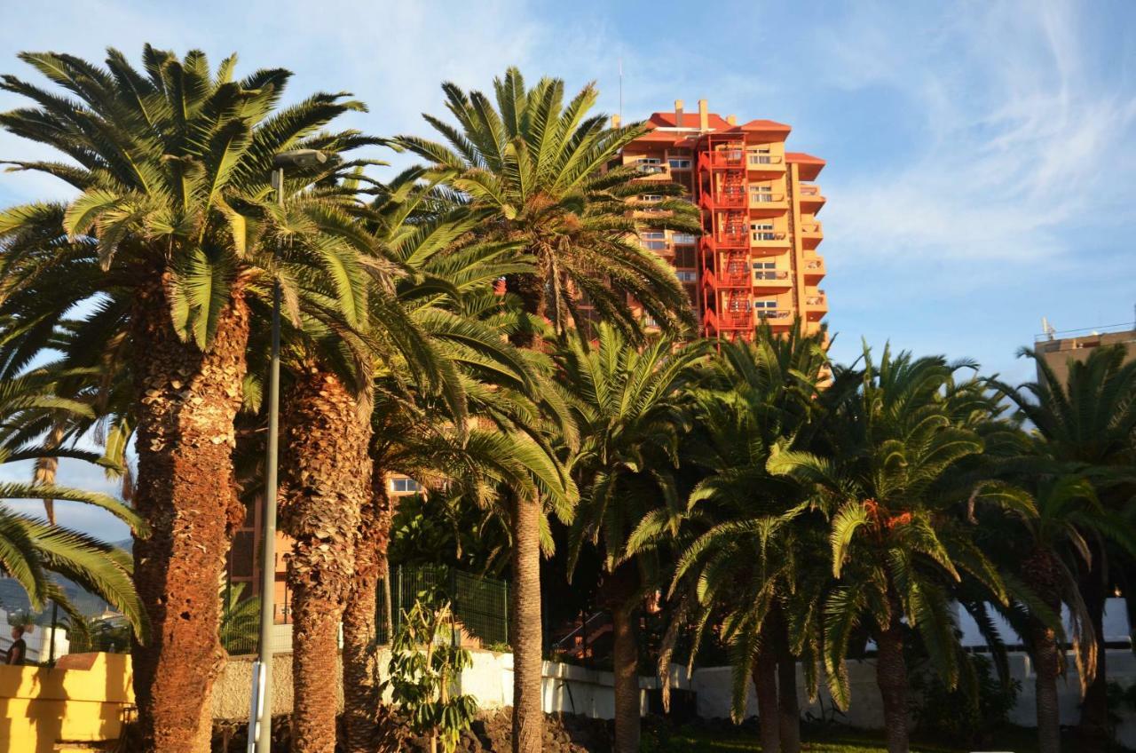 Sunshine Studio Puerto de la Cruz  Eksteriør bilde